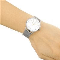 Orologio Bering Classic Collection in Acciaio 13436-001 - 13436-001